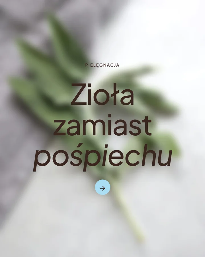 Post gabinetu naturalnego: rozmyta szałwia i „Zioła zamiast pośpiechu”